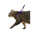 Evene Kedi Tasması Ayarlanabilir Göğüs Bel Tasma 1 Cm İnce Kolon Mor, e.ayar1cm