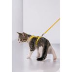 Evene Kedi Tasması Ayarlanabilir Göğüs Bel Tasma 1 Cm İnce Kolon Sarı, e.ayar1cm