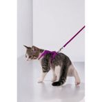 Evene Kedi Tasması Kedi Göğüs Bel Ayarlanabilir Dayanıklı Sağlam Tasma 1 Cm İnce Kolon Mor