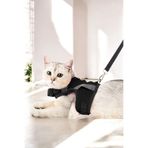 Evene Medium Sevk Kayışlı Reflektörlü Göğüs Boyun Kedi Tasması - Siyah