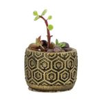 Evene Mini Çiçek Saksı Küçük Sukulent Altın Eskitme Kaktüs Saksısı Model 2, ealtigendesensaksi