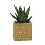 Evene Mini Çiçek Saksı Küçük Sukulent Altın Kaktüs Saksısı Mini Kare Desenli Model, ekaredesenlisaksiby