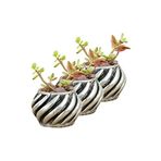 Evene Mini Çiçek Saksı Küçük Sukulent Eskitme Kaktüs Saksısı 3'lü Set Kalın Çizgili Spiral Model - Gümüş