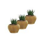 Evene Mini Çiçek Saksı Küçük Sukulent Kaktüs Saksısı 3'lü Set Derin Çizgili Spiral Model - Altın