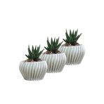 Evene Mini Çiçek Saksı Küçük Sukulent Kaktüs Saksısı 3'lü Set Derin Çizgili Spiral Model - Gümüş