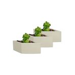 Evene Mini Çiçek Saksı Küçük Sukulent Kaktüs Saksısı 3'lü Set Dörtgen Yatay Model - Beyaz