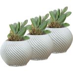 Evene Mini Çiçek Saksı Küçük Sukulent Kaktüs Saksısı 3'lü Set Ince Çizgili Spiral - Gümüş