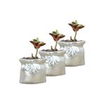 Evene Mini Çiçek Saksı Küçük Sukulent Kaktüs Saksısı 3'lü Set Kese Model - Gümüş