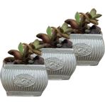 Evene Mini Çiçek Saksı Küçük Sukulent Kaktüs Saksısı 3'lü Set Mini Çizgili Çiçekli - Gümüş