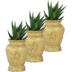 Evene Mini Çiçek Saksı Küçük Sukulent Kaktüs Saksısı 3'lü Set Mini Desenli Vazo Saksı Model - Altın