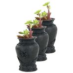 Evene Mini Çiçek Saksı Küçük Sukulent Kaktüs Saksısı 3'lü Set Mini Desenli Vazo Saksı Model - Siyah