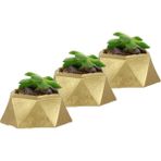 Evene Mini Çiçek Saksı Küçük Sukulent Kaktüs Saksısı 3'lü Set Mini Poly 2 - Altın