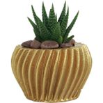 Evene Mini Çiçek Saksı Küçük Sukulent Kaktüs Saksısı Derin Çizgili Spiral Model - Altın
