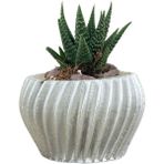 Evene Mini Çiçek Saksı Küçük Sukulent Kaktüs Saksısı Derin Çizgili Spiral Model - Gümüş
