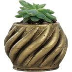Evene Mini Çiçek Saksı Küçük Sukulent Kaktüs Saksısı Kalın Çizgili Spiral Model - Gold