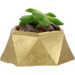 Evene Mini Çiçek Saksı Küçük Sukulent Kaktüs Saksısı Mini Poly 2 Model - Altın