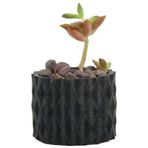 Evene Mini Çiçek Saksı Küçük Sukulent Siyah Kaktüs Saksısı Baklava Çizgili Model