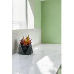 Evene Mini Çiçek Saksı Küçük Sukulent Siyah Kaktüs Saksısı Mini Poly 1 Model, eminipol1saksiby