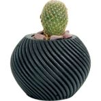 Evene Mini Çiçek Saksısı Küçük Sukulent Kaktüs Saksı Ince Çizgili Spiral Model - Siyah
