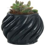 Evene Mini Çiçek Saksısı Küçük Sukulent Siyah Kaktüs Saksı Kalın Çizgili Spiral Model