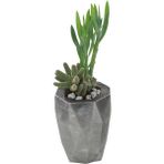 Evene Saksı Çiçek Kaktüs Saksısı Lüx 10 cm Altın Eskitme Varak Boyalı Poly Desen Saksı Çiçeklik - Gümüş