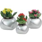 Evene Saksı Çiçek Kaktüs Saksısı Lüx 14 cm Elips Desenli 3'lü Set Çiçeklik - Gümüş