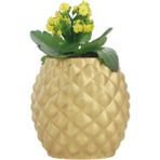 Evene Saksı Çiçek Kaktüs Saksısı Lüx 15 cm Ananas Desen Saksı Çiçeklik