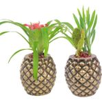 Evene Saksı Çiçek Kaktüs Saksısı Lüx 15 cm Ananas Desenli 2'li Set Çiçeklik - Altın