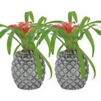 Evene Saksı Çiçek Kaktüs Saksısı Lüx 15 cm Ananas Desenli 2'li Set Çiçeklik - Gümüş