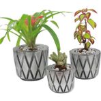 Evene Saksı Çiçek Kaktüs Saksısı Lüx 15 cm Baklava Desenli 3'lü Set Çiçeklik - Gümüş