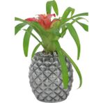 Evene Saksı Çiçek Kaktüs Saksısı Lüx 15 cm Gümüş Eskitme Varak Boyalı Ananas Desen Saksı Çiçeklik - Siyah - Gri