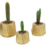 Evene Saksı Çiçek Kaktüs Saksısı Lüx 15 cm Kalın Çizgi Desenli 3'lü Set Çiçeklik