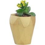 Evene Saksı Çiçek Kaktüs Saksısı Lüx 15 cm Poly Desen Saksı Çiçeklik - Gold