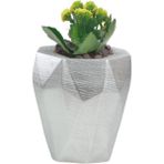 Evene Saksı Çiçek Kaktüs Saksısı Lüx 15 cm Poly Desen Saksı Çiçeklik - Gümüş