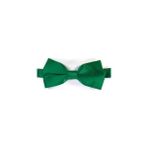 Event Party Store Yeşil Saten Papyon 13 CM X 7 CM 1 ADET Çocuk ve Yetişkin İçin Uygun