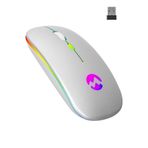 Everest Ledli Şarjlı Kablosuz Mouse Gümüş Smw-710