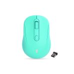 Everest SM-300 Usb Yeşil 4D Optik Süper Sessiz Alkalin Pil Kablosuz Mouse