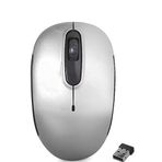 Everest SMW-666 Gümüş Mouse