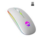 Everest SMW-710 Gri Kablosuz Mouse