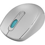 Everest Smw-87 Kablosuz Mouse - Gri