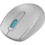 Everest Smw-87 Kablosuz Mouse ( Lisinya ) - Açık Gri