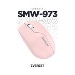 Everest Smw-973 Usb Pembe 2.4ghz Kablosuz Mouse acik-beyaz-mavi