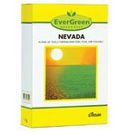 Evergreen Nevada Çim Tohumu - 1 kg - Ücretsiz Kargo