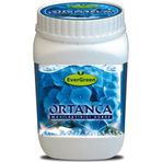 Evergreen Ortanca Mavileştirici 1 kg Gübre