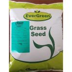 Evergreen Shady Gölge Alan Çim Tohumu 1 kg - 1 Adet