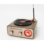 Everton RT-1217BT Bluetooth Usb-Micro Plak Radyo - Çok Renkli