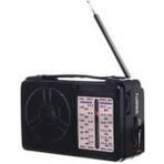 Everton RT-1218 Fm-Am-Sw Dünya Radyo - Renkli