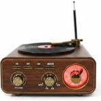 Everton RT-1317BT Bluetooth Usb-Micro Plak Radyo - Çok Renkli