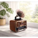 Everton RT-607 Nostaljik Gramofon Tasarımlı Retro Radyo - Bluetooth, Usb, Tf Kart Destekli Şarjlı Müzik Kutusu