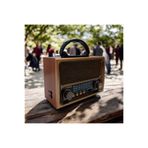Everton Rt-675 Solar enerjili Nostajık Radyo Müzik çalar